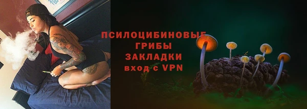 стафф Пересвет