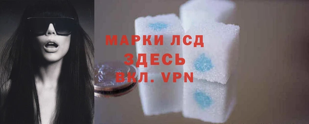 сатива Арсеньев