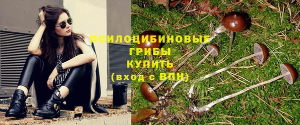 сатива Арсеньев