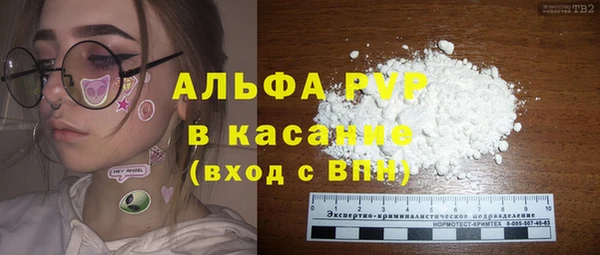 сатива Арсеньев