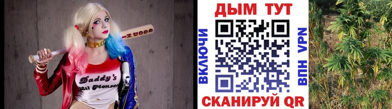 МАРИХУАНА план  как найти наркотики  Бабушкин 
